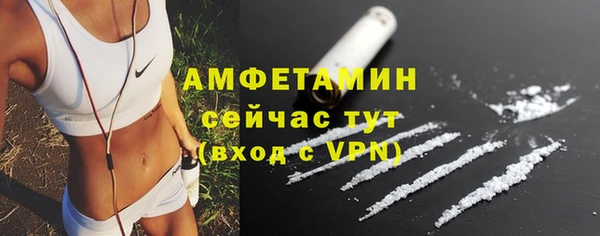 гидра Пестово
