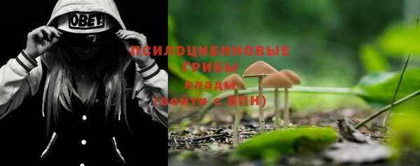 таблы Белоозёрский