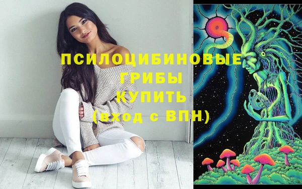 марки lsd Переславль-Залесский