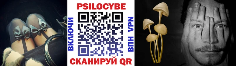 купить наркотики цена  Белово  Галлюциногенные грибы MAGIC MUSHROOMS 