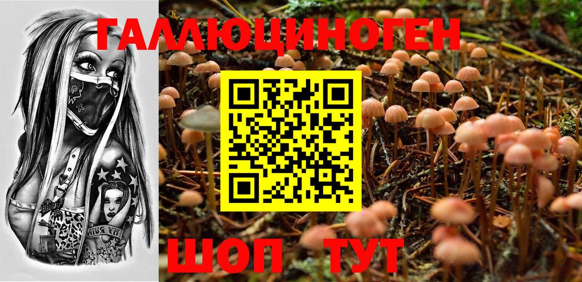 Галлюциногенные грибы прущие грибы  Вход с VPN  Галлюциногенные грибы ЛСД  Белово 