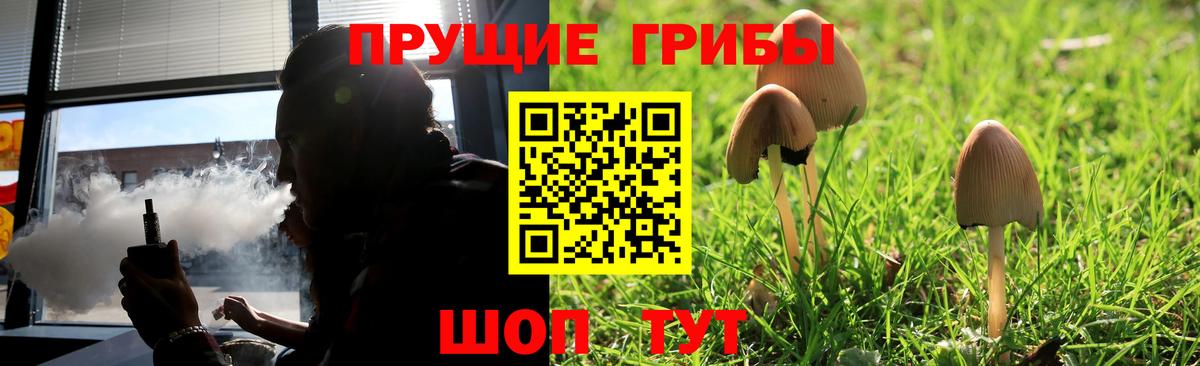 Псилоцибиновые грибы ЛСД Белово